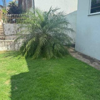 Casa à venda com 3 quartos, 227m² no Presidente Médici em Chapecó - Foto 2