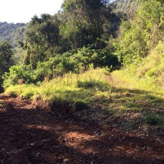 Área Rural à venda com 72.600m² no Interior em Arvoredo – Foto 2