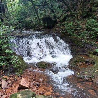 Área Rural à venda com 22.000m² no SEDE FIGUEIRA em Chapecó – Foto 7