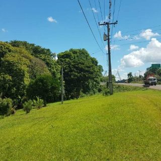 Área Rural à venda com 48.000m² no Marechal Bormann em Chapecó – Foto 6