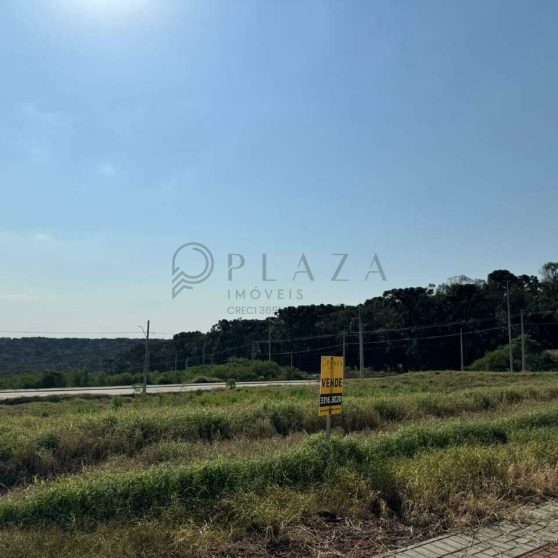 11909 – Foto 3