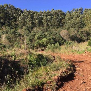 Área Rural à venda com 72.600m² no Interior em Arvoredo – Foto 3
