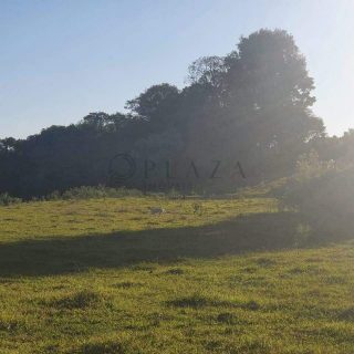 Área Rural à venda com 117.975m² no Interior em Chapecó – Foto 7