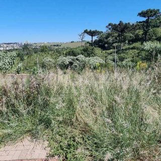 Terreno à venda com 586m² no Jardim Europa em Chapecó - Foto 2