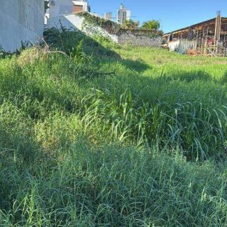 Terreno à venda no Palmital em Chapecó - Foto 2