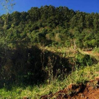 Área Rural à venda com 72.600m² no Interior em Arvoredo – Foto 1