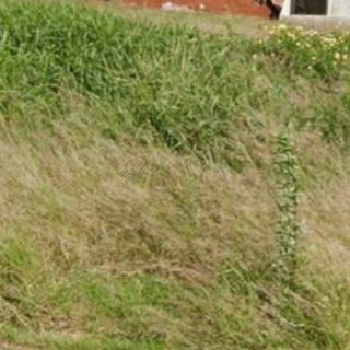 Terreno à venda com 360m² no Walville em Chapecó – Foto 1
