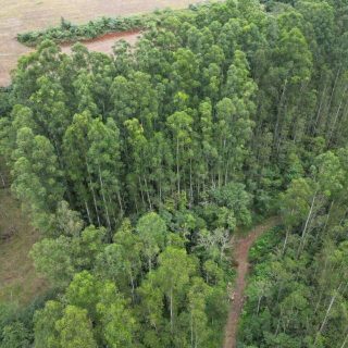 Área Rural à venda com 314.600m² na Linha Santos Dumont em Marema – Foto 3
