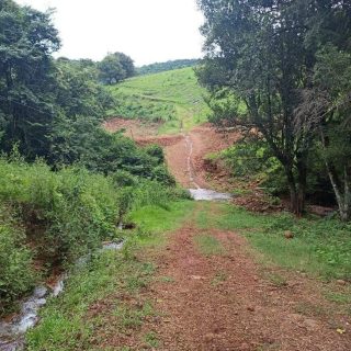 Área Rural à venda com 22.000m² no SEDE FIGUEIRA em Chapecó – Foto 2