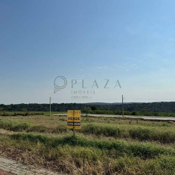 11909 – Foto 2