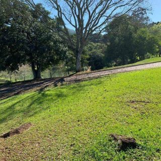 Terreno à venda com 1.495m² no Espelho Das Águas em Chapecó - Foto 2