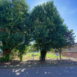 Terreno à venda com 1.000m² no Esplanada em Chapecó - Foto 1