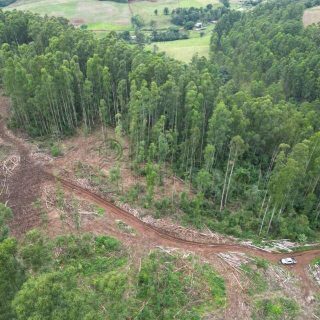 Área Rural à venda com 314.600m² na Linha Santos Dumont em Marema – Foto 8
