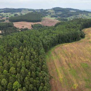 Área Rural à venda com 185.089m² na Linha Balisa Interior em Marema – Foto 5