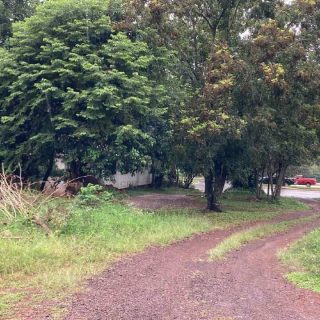 Chácara / Sítio à venda com 19.424m² no Universitário em Chapecó - Foto 3
