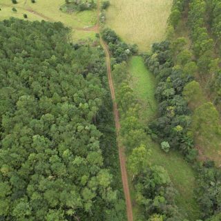 Área Rural à venda com 314.600m² na Linha Santos Dumont em Marema – Foto 6