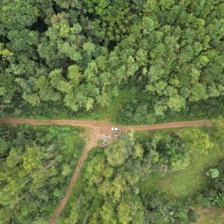 Área Rural à venda com 314.600m² na Linha Santos Dumont em Marema – Foto 7