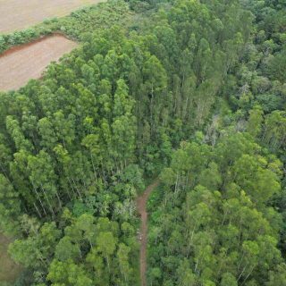 Área Rural à venda com 314.600m² na Linha Santos Dumont em Marema – Foto 5