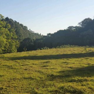 Área Rural à venda com 117.975m² no Interior em Chapecó – Foto 8