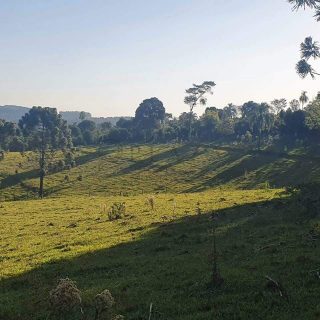 Área Rural à venda com 117.975m² no Interior em Chapecó – Foto 5